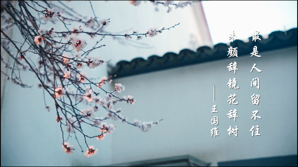 1651715290189501.png 微信图片_20220505094617.png