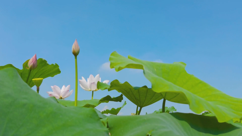 1651715396353713.png 微信图片_20220505094626.png
