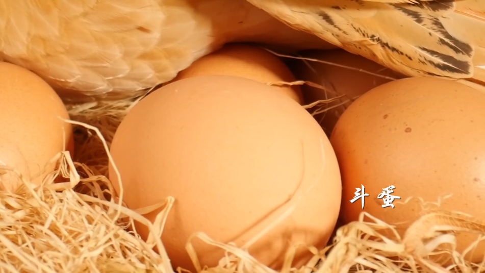 1651715434766412.png 微信图片_20220505094631.png