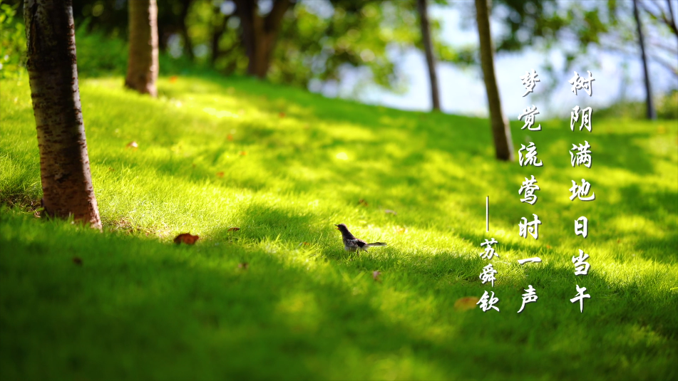 1651715478165061.png 微信图片_20220505094636.png